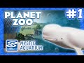 Belugas that Dive! - Mystic Aquarium Ep. 1