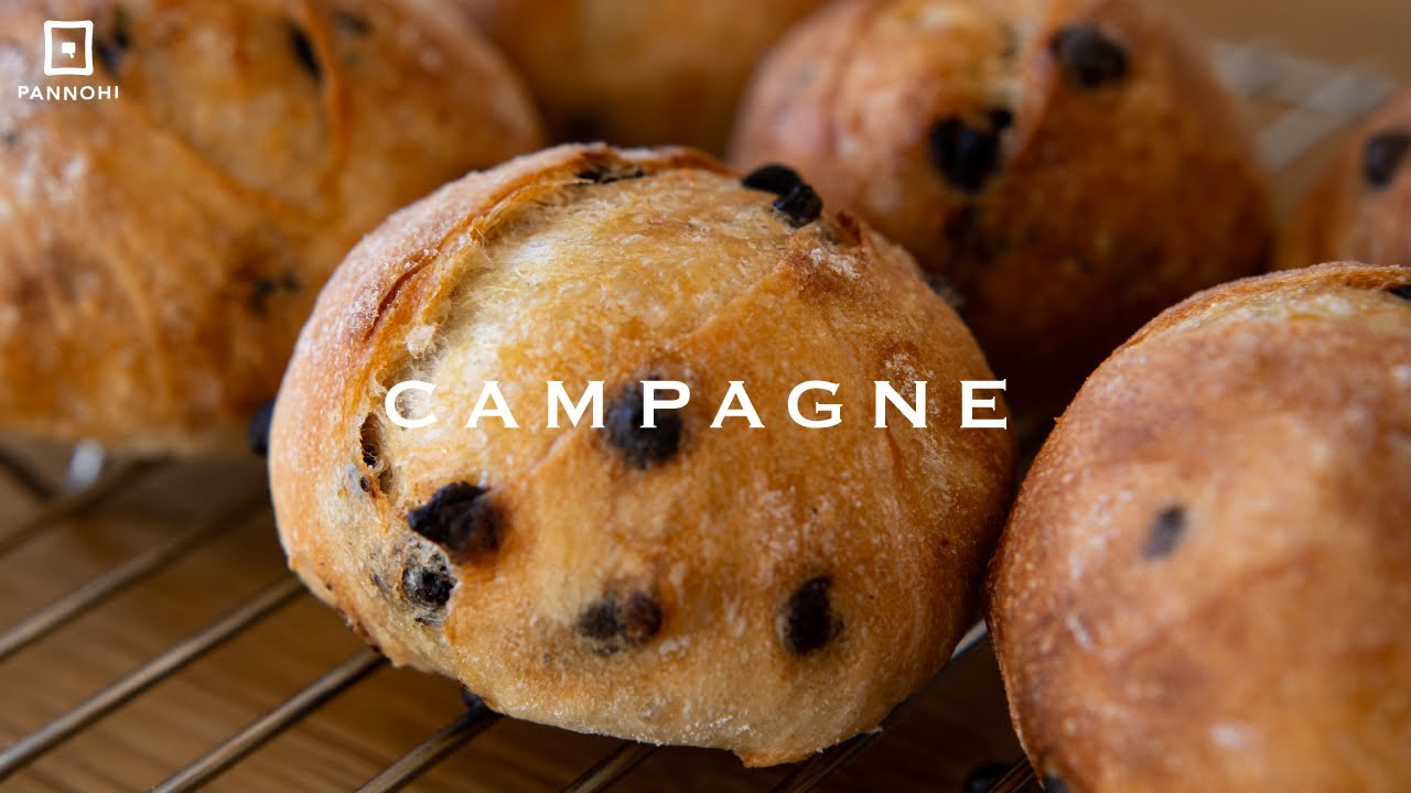 No-knead chocolate chip campagne made with special flour for