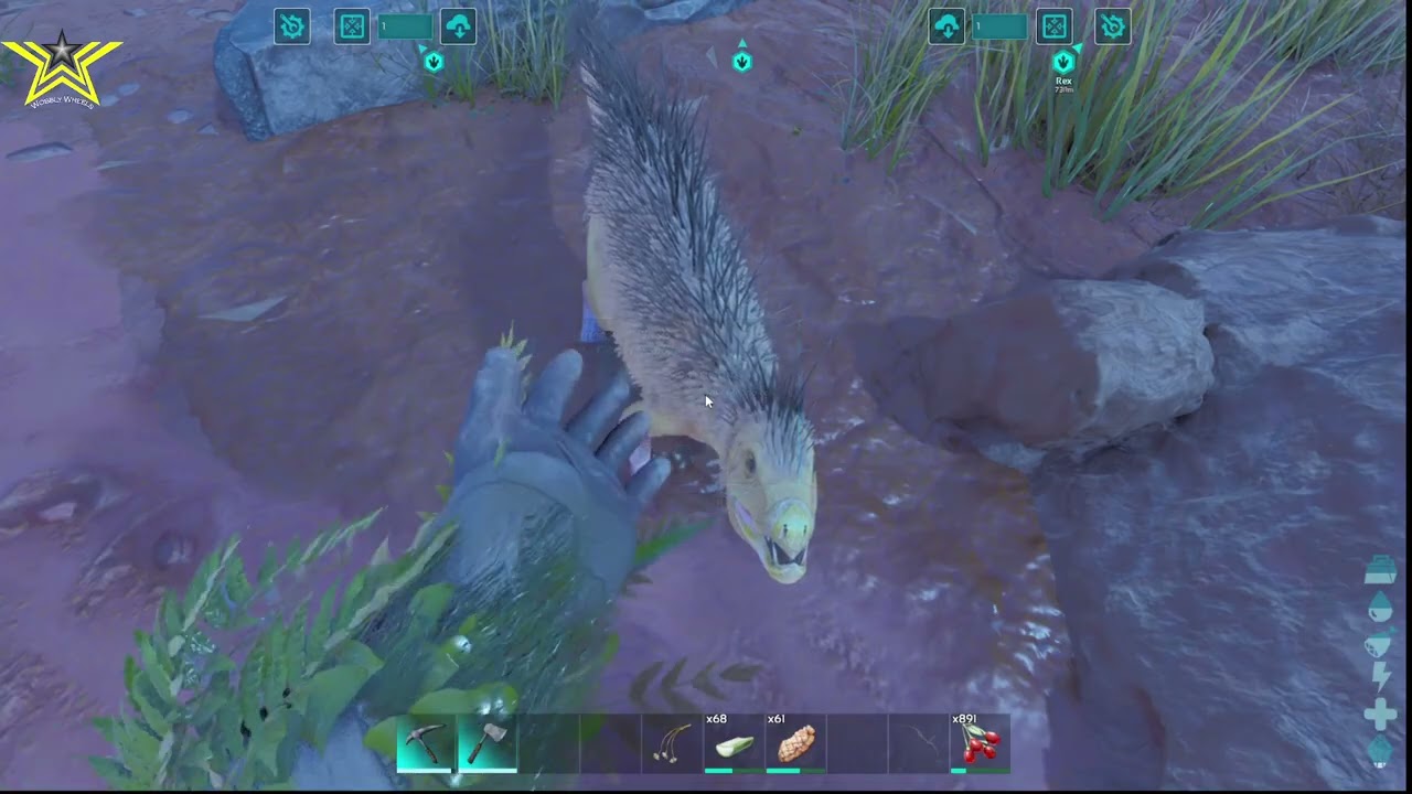 Crazy? ] Hardcore mode with No Engrams on Scorched Earth ARK Survival Ascended ( 13 )