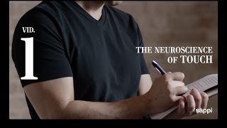 The Neuroscience of Touch - Video 1