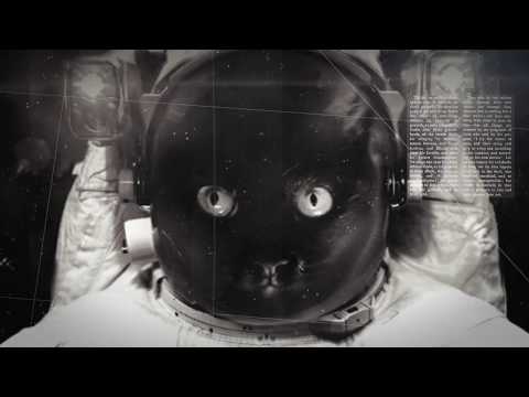 2020 Cats + Dog Space Journey