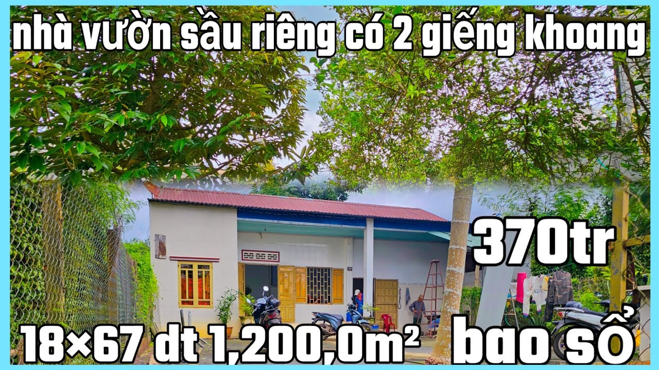 Nhà vườn sầu riêng + tiêu + giếng đào, giếng khoang giá chỉ từ 370tr đến 570tr bs 18×67 dt 1.200m²