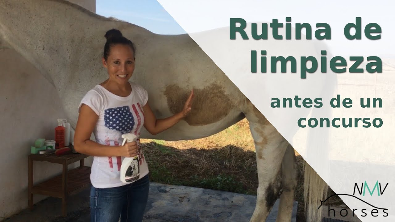 Mi rutina de limpieza del caballo antes de un concurso I ¿Qué hago?