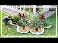 Linda decoração de jardim para sol pleno | Ideias para jardim