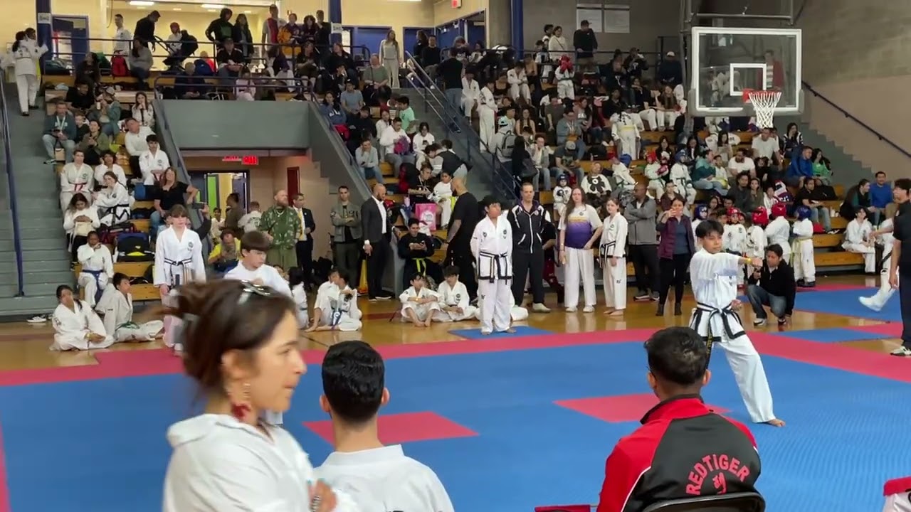 Patterns round 1 Mew York #