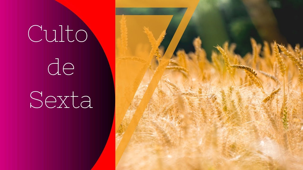 31/01/2020 | Major Campos | Célula JPG