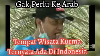 wow..5 Daerah Penghasil Kurma Jadi Tempat Wisata #kurma #wisata #nusantara