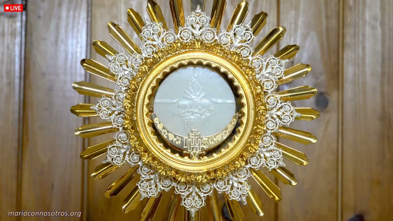 Eucharistic Adoration Live Stream / Perpetual Eucharistic Adoration live / Catholic Masses /