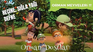 Orman Çileği, Defne, Reçine Ve Sığla Yağı Orman Dostları Eğitici Çocuk Çizgi Film