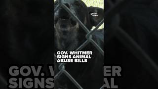 Gov. Whitmer signs bills to speed adoption of abused animals