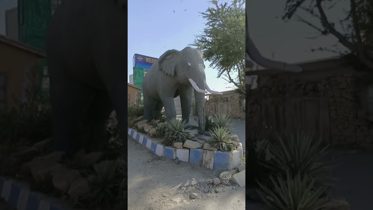 Karachi Safari Park Entrance - Welcome to Karachi Safari Park