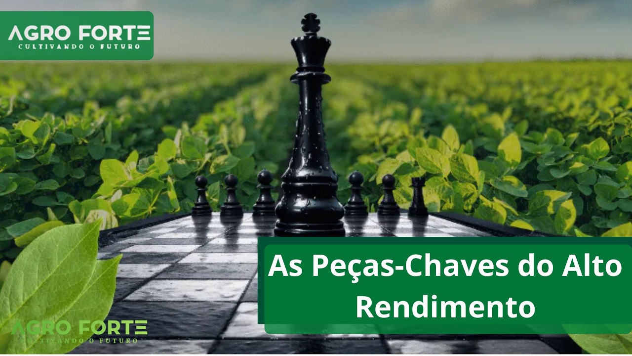 A Base da Produtividade: As Peças-Chaves do Alto Rendimento