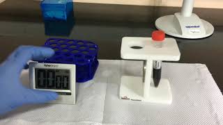 Maggenomes Magnetic Nanoparticles