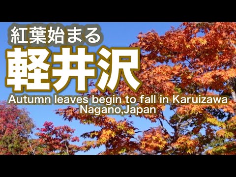 軽井沢の紅葉が始まる撮影日2024.10.21日Autumn leaves begin to fall in Karuizawa, Nagano, Japan