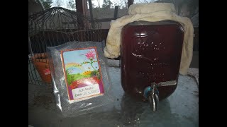 jun kombucha and a continuous brew