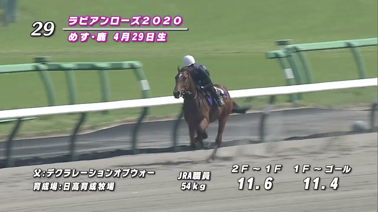 サラブレッドセール せり市場 馬市 種牡馬 の最新情報 By馬市 Com