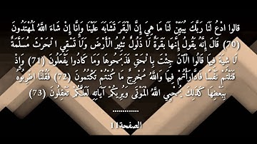 سورة البقرة للقارئ ياسر الدوسري الصفحة رقم (11)