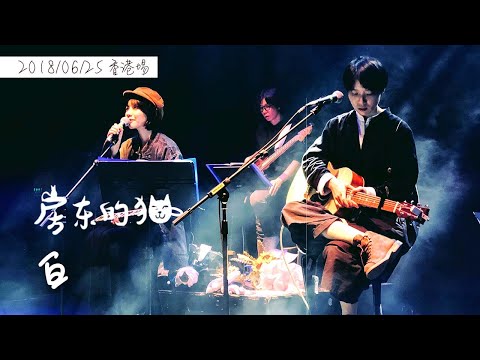 房東的貓 － 白 [2018/06/25 香港埸]