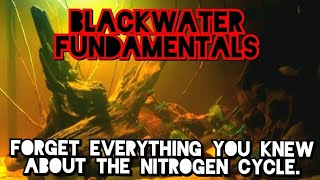 BLACKWATER: How to Safely Set Up Low Ph, High Tannin, Acidic Aquariums. The World of Archaea & Fungi screenshot 1