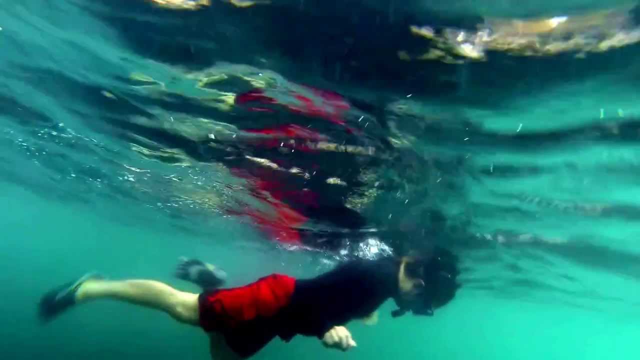 Catalina island snorkeling YouTube