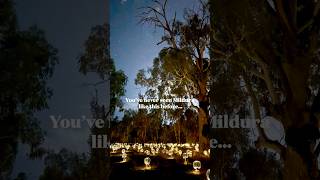 First Look Trail Of Lights In Mildura