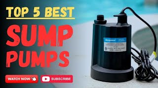 Top 5 Best Sump Pump Of 2023 - Sump Pumps Review