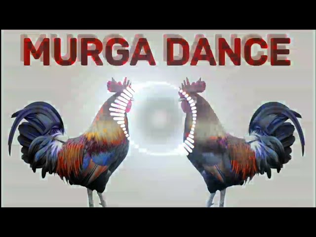 Murga dance || ku ku ku song || murga song dj mix by dipanshu #murgadance #song #murga class=