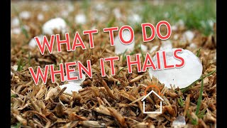 Six Steps To Take After A Hailstorm