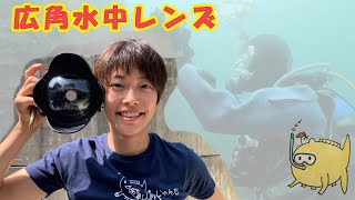 簡単綺麗！ワイドレンズ付けたら水中写真が一気に上達する！？