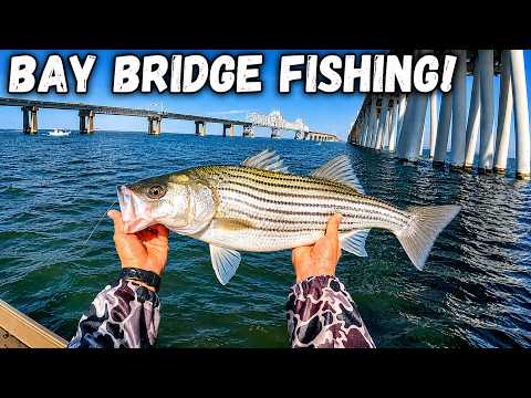 STRIPED BASS Fishing The CHESAPEAKE BAY BRIDGE! How To Jig And Catch Fish! | Chesapeake Bay Fishing!