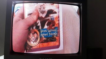 VHS/DVD Collection Videos in a Nutshell but recorded on my CRT TV