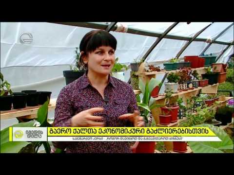 ოკუპაციის შედეგად დაზარალებული ქალები