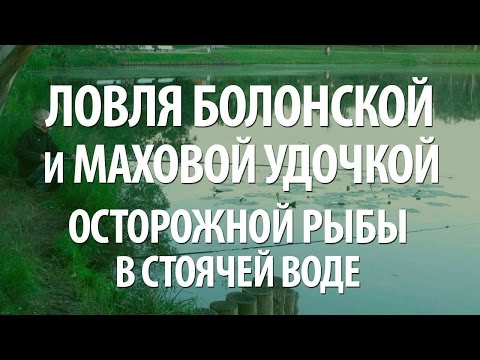 оснастка поплавочной удочки для ловли в стоячей воде