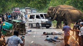 🚨Human–Elephant Conflict Escalates | Vehicles Attacked on Jungle Road😱🐘