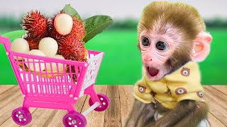 Baby Monkey Bibo Goes Shopping At Rambutan And Plays With The Puppies