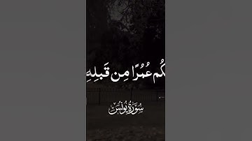 سورة يونس #ياسر_الدوسري #القرآن_الكريم #لايك