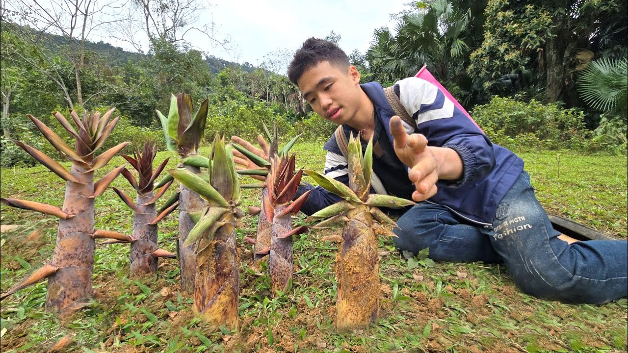 Что случилось с самостоятельностью мальчика-сироты?