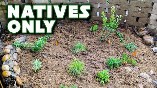 I Finally Built A California Native Plant Garden!
