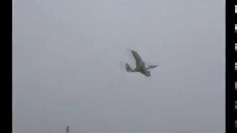 PteroWorks 18" Micro Pterodactyl