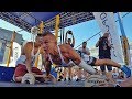 STREET WORKOUT MISTRZOSTWA POLSKI 2017 - RELACJA (KURA WORKOUT)