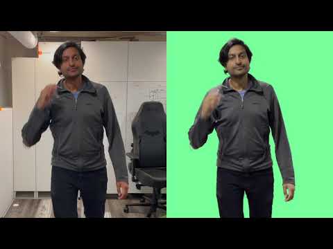 Background matting / segmentation test