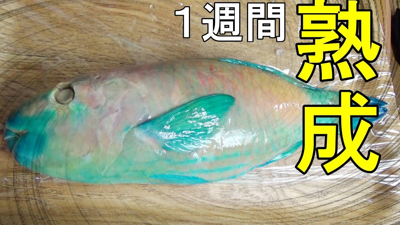 さばき忘れて腐った ハゲブダイをさばいて食べたらうますぎた Youtube