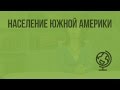 Население Южной Америки. Видеоурок по географии 7 класс