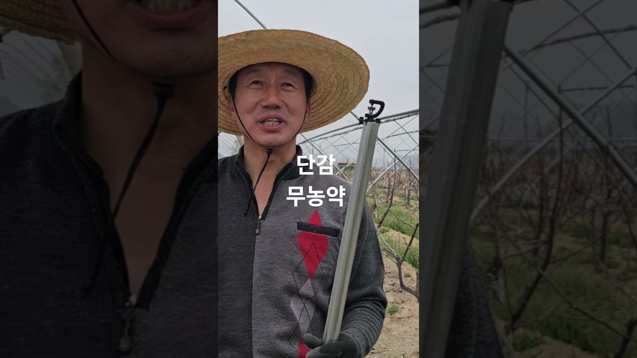 2026년 4월 3일