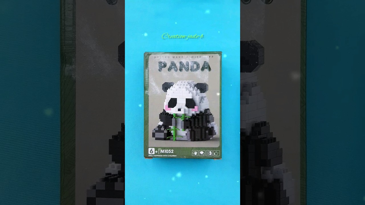 ⏺ Blocs de construction PANDA 🐼 - TEMU ! 🔶️ 