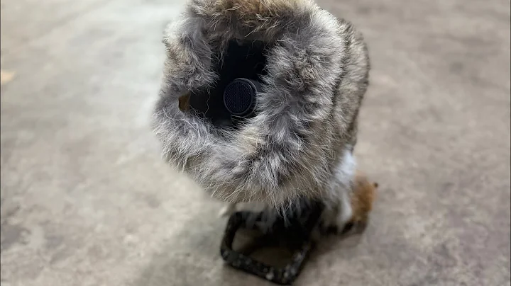 Programming a Fox Pro X24 | Coyote Academy | New Sounds | Rookie