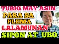 Tubig May Asin: Para sa Plema, Lalamunan, Sipon at Ubo - by Doc Willie Ong #913