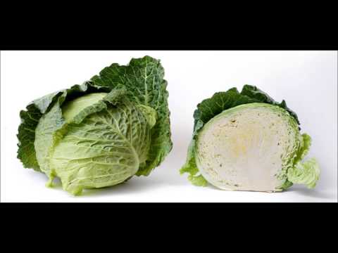 Cabbage :: The Audiopedia