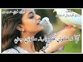 Fozia Soomro Aaya Na Koi Kabootr Na Koi Cithi Aae Sindhi New Song
