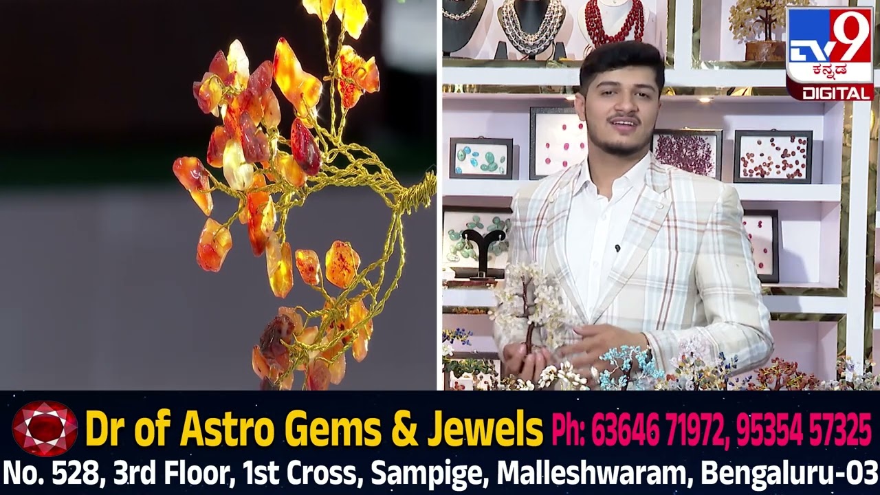 **Astrology Stones: What Is the Importance of Vastu Plants? | Learn About Vastu Plants**